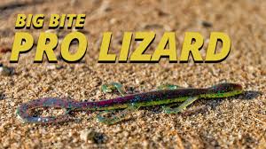Big Bite Baits Pro Lizard